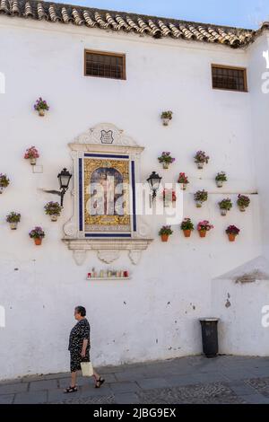 Blumen an der Wand in Cordoba, Spanien. Stockfoto