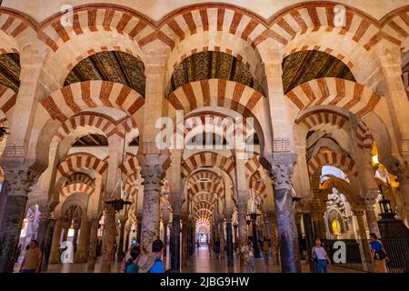 Moschee-Kathedrale von Córdoba Spanien Stockfoto