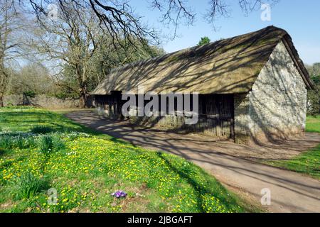 Fachwerk reetgedeckten Scheune aus 1550, National History Museum, St Fagans, Cardiff, Südwales, UK. Stockfoto