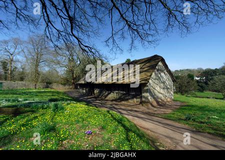 Fachwerk reetgedeckten Scheune aus 1550, National History Museum, St Fagans, Cardiff, Südwales, UK. Stockfoto