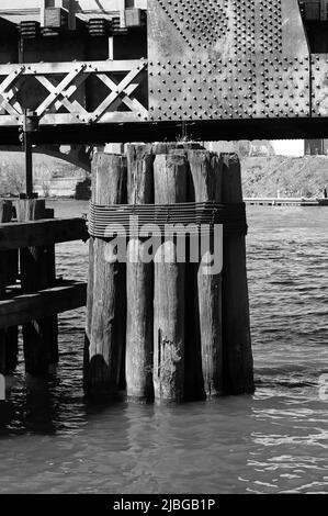 Hölzerner Pier-Poller, der schwarz und weiß aus dem Wasser ragt. Stockfoto