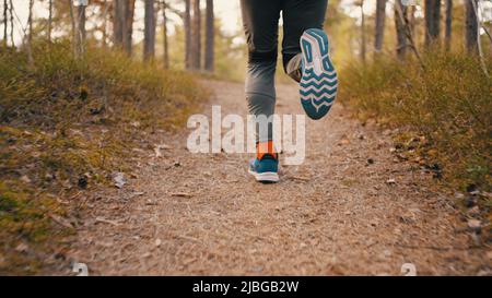 Der Mensch läuft auf einem schmalen Pfad in einem alten Kiefernwald. Cardio-Training an frischer Waldluft. Unter den Füßen des Läufers in blauen Sneakers liegende Kegel Stockfoto