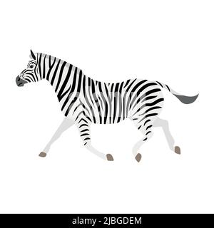 Vektor flaches Zebra isoliert auf weißem Hintergrund Stock Vektor