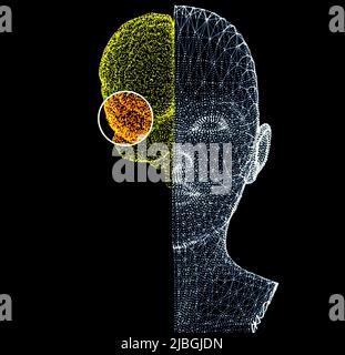 Wie das Gehirn funktioniert. Synapsen und Neuronen. Verbindungen. Kümmern Sie sich um Ihr Gehirn. Degenerative Erkrankungen, Parkinson und Alzheimer, ältere Frau Stockfoto