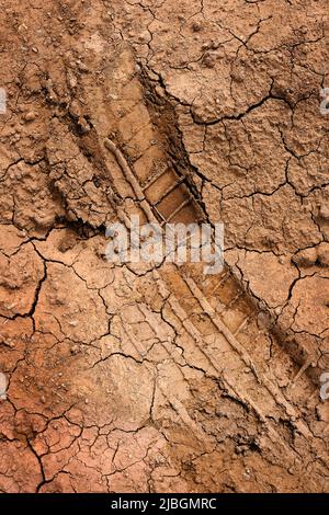 Abdruck der Reifenpanne in Parch trockener Schmutz getrockneter Schlamm Fahrzeugweg Dürre Stockfoto