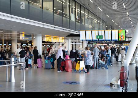 Reisende warten in einer langen Schlange auf den Check-in am Flughafen Schiphol in Amsterdam, einem der verkehrsreichsten Flughäfen der Welt Stockfoto