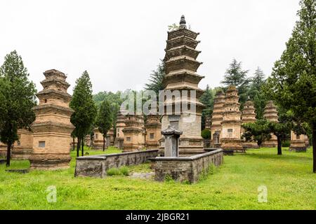 Der Pagodenwald im Shaolin-Tempel ist eine Konzentration von mehr als 250 Grabpagoden für bedeutende Mönche, Äbte und ranghohe Mönche im Tempel. Stockfoto