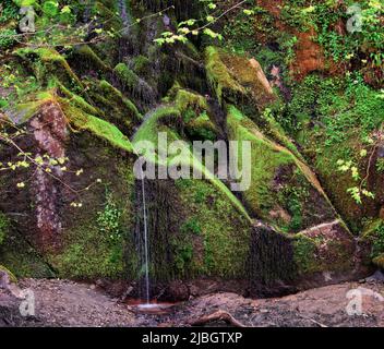 Ein kleiner ausgetrockneter Wasserfall, der Moos und Algen zeigt, die die Farben der Natur anzeigen. Eine abstrakte Ansicht Stockfoto