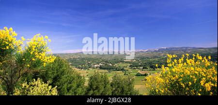 Die Ebene und die Weingüter aus dem Dorf La Cadere d'Azur mit dem Ste Baume Massiv in der Ferne Stockfoto