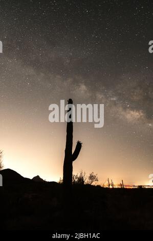 Silhouette des Saguaro Kaktus mit Milchstraße-Galaxie-Nachtsicht. Stockfoto