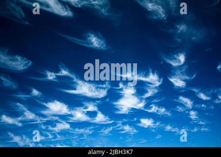 Wispy Cirrus Wolken auf einem blauen Himmel Stockfoto