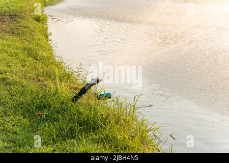 Wasser, das aus dem Wasserhahn in den Teich im Garten spritzt Stockfoto