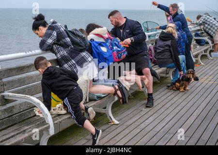 Urlauber, die vor dem Cromer Pier, Norfolk, nach Krabben fischen Stockfoto