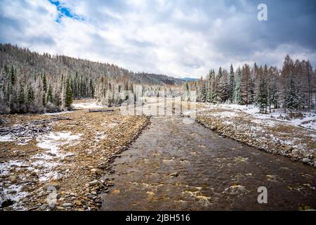 Das nicht gefrorene Bett eines wunderschönen, gewundenen Flusses Chibit, der durch ein schneebedecktes Tal fließt, umgeben von Bergen des Altai, Sibiriens und Russlands. Stockfoto