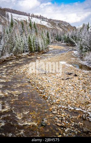 Das nicht gefrorene Bett eines wunderschönen, gewundenen Flusses Chibit, der durch ein schneebedecktes Tal fließt, umgeben von Bergen des Altai, Sibiriens und Russlands. Stockfoto