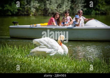 Die Schlösser von Laxenburg befinden sich in der Gemeinde Laxenburg in Niederösterreich im Schlosspark befindet sich das alte Schloss und die Franzensburg Stockfoto