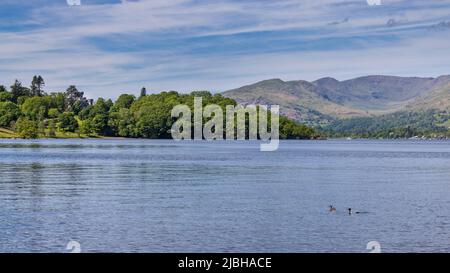 Über Windermere zum Wray Castle am westlichen Ufer, Lake District, England Stockfoto