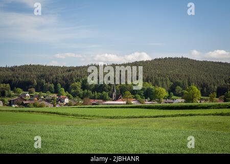 Erlebnisweg Heinrichs, ein Wanderweg im Waldgebiet - Blick nach Heinrichs Stockfoto