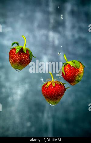 Erdbeeren mit Wassertropfen und verschwommenem Hintergrund. Stockfoto