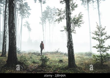 Eine Frau steht in einem nassen und nebligen Wald. Tschechische republik, Böhmische Schweiz Stockfoto