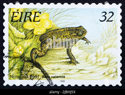 IRLAND - UM 1995: Eine in Irland gedruckte Briefmarke zeigt Natterjack Toad, Frosch, um 1995 Stockfoto