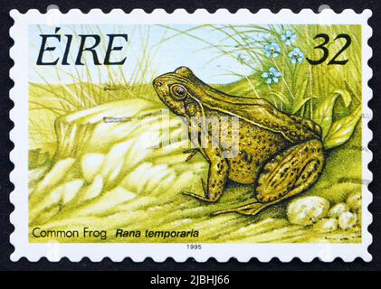 IRLAND - UM 1995: Eine in Irland gedruckte Marke zeigt Common Frog, Frosch, um 1995 Stockfoto