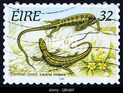 IRLAND - UM 1995: Eine in Irland gedruckte Briefmarke zeigt Common Lizard, Reptile, um 1995 Stockfoto