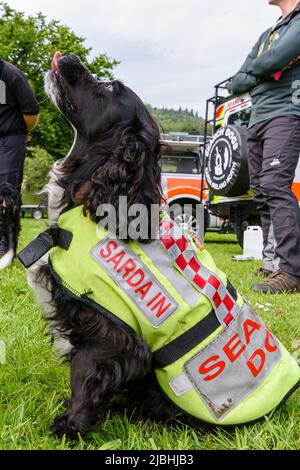 Castlewellan, Nordirland. 06/06/2022. DAERA-Minister Edwin Poots besuchte den Castlewellan Forest Park, um ein neues Allradfahrzeug zu sehen, das die Search and Rescue Dogs Association Ireland North (SARDA) beim Zugang zu schwer erreichbaren Gebieten unterstützen wird, und traf eine Reihe von Arbeits- und Rettungshunden. Stockfoto