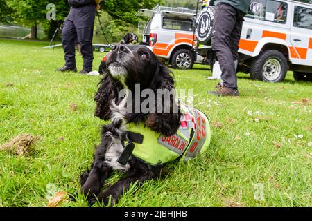 Castlewellan, Nordirland. 06/06/2022. DAERA-Minister Edwin Poots besuchte den Castlewellan Forest Park, um ein neues Allradfahrzeug zu sehen, das die Search and Rescue Dogs Association Ireland North (SARDA) beim Zugang zu schwer erreichbaren Gebieten unterstützen wird, und traf eine Reihe von Arbeits- und Rettungshunden. Stockfoto