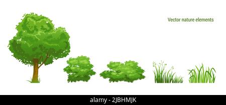 Baum, Sträucher und Gras Natur Set. Stock Vektor
