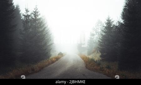 Straße im Inneren des tiefen Bergwaldes, nebliger Tag, Jizerske hory, Tschechische republik Stockfoto