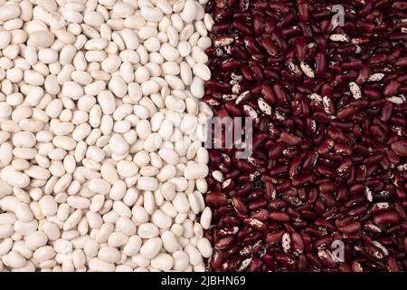 Rote und weiße Kidney Beans Hintergrund, Draufsicht, ungekochte Bohnen Mischung Stockfoto