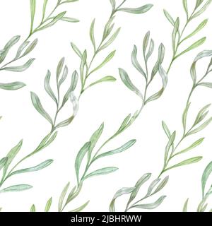 Muster mit zarten grünen Blättern, Aquarell-Illustration Stockfoto