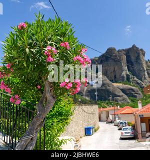 Schöner Baum mit rosa Blumen in griechenland. Straße mit einem Baum und Berge im Hintergrund Kalabaka Stadt. Stockfoto