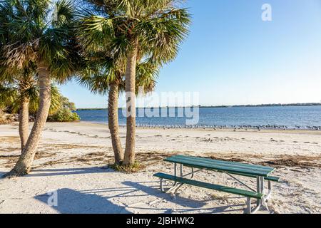 Florida New Port Richey, Green Key, Robert K Rees Memorial Park, Golf von Mexiko, öffentlicher Strand und sabal Palmen Stockfoto