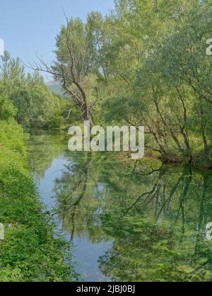 Quelle des Flusses Cetina bei Sinj in Kroatien Stockfoto