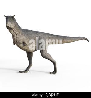 3D-Illustration eines isolierten Dinosauriers carnotaurus Stockfoto