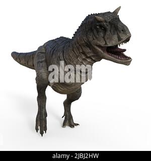 3D-Illustration eines isolierten Dinosauriers carnotaurus Stockfoto
