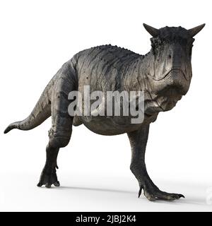 3D-Illustration eines isolierten Dinosauriers carnotaurus Stockfoto