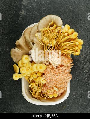 Eine Auswahl an kulinarischen Pilzen in einem Punnet von einem Bauernmarkt auf einer schwarzen Schieferkitchenbank. Stockfoto