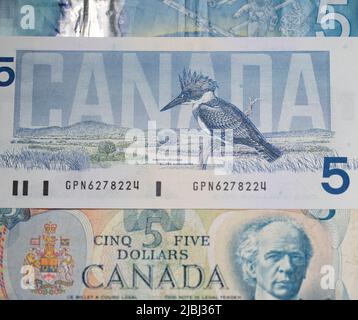 Toronto, Kanada - Oktober 30. 2021: Birds of Canada Banknote, fünf-Dollar-Schein. Kanadisches Geld, fünf- und zehn-Dollar-Scheine Stockfoto