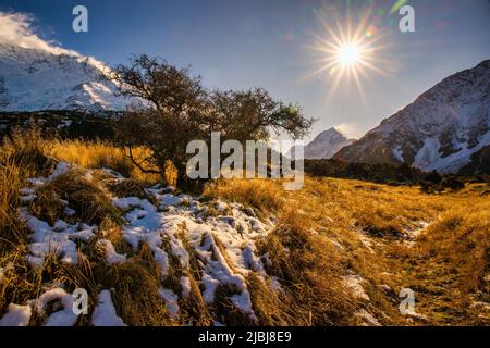 Sonnenflaue, Kugeln und Herbstfarben mit einer Prise frühen Winterschnees im Aoraki Mount Cook National Park Stockfoto