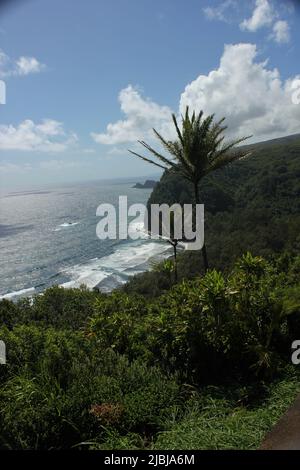 Mit Blick auf die Brandung von Hawai'i Hawaii, der Big Island Stockfoto