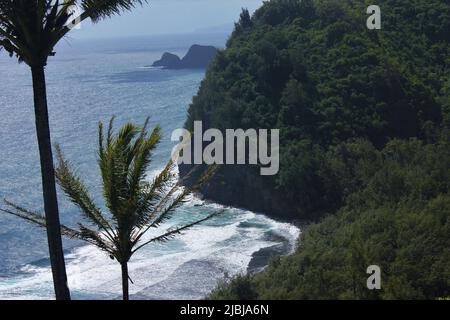 Mit Blick auf die Brandung von Hawai'i Hawaii, der Big Island Stockfoto