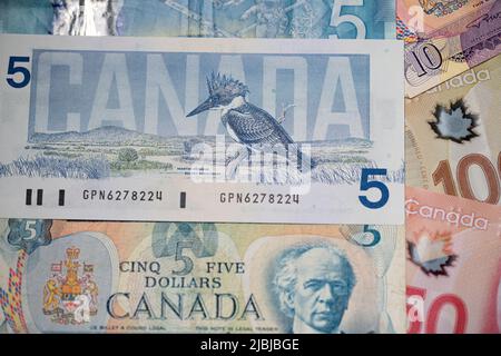 Toronto, Kanada - Oktober 30. 2021: Fünf Kanadische Dollar-Banknoten. Vögel von Kanada Design. Verschiedene kanadische Dollar-Designs Stockfoto