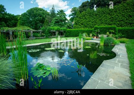 Bronx, NY - USA - 4. Juni 2022 Blick auf den Aquatic Garden in Wave Hill. Ein reflektierender Pool mit Wasserpflanzen, Hecken und Pergolen. Wave Hill ist ein Stockfoto