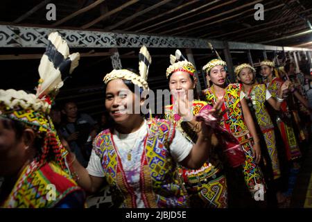 Frauen tanzen in einer Reihe, während sie die Gäste während eines Ökotourismus-Events im Bali Gundi Langhaus der traditionellen Dayak Taman Gemeinde in Sibau Hulu, Putussibau Utara, Kapuas Hulu, West Kalimantan, Indonesien begrüßen. Stockfoto