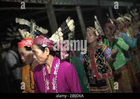 Frauen tanzen in einer Reihe, während sie die Gäste während eines Ökotourismus-Events im Bali Gundi Langhaus der traditionellen Dayak Taman Gemeinde in Sibau Hulu, Putussibau Utara, Kapuas Hulu, West Kalimantan, Indonesien begrüßen. Stockfoto