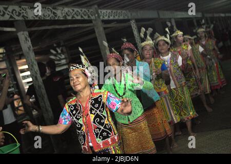 Frauen tanzen in einer Reihe, während sie die Gäste während eines Ökotourismus-Events im Bali Gundi Langhaus der traditionellen Dayak Taman Gemeinde in Sibau Hulu, Putussibau Utara, Kapuas Hulu, West Kalimantan, Indonesien begrüßen. Stockfoto