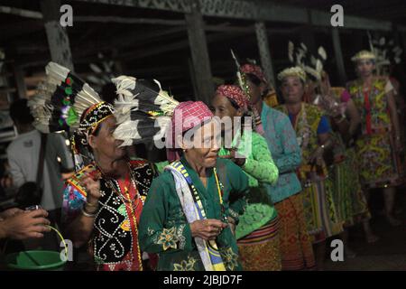 Frauen tanzen in einer Reihe, während sie die Gäste während eines Ökotourismus-Events im Bali Gundi Langhaus der traditionellen Dayak Taman Gemeinde in Sibau Hulu, Putussibau Utara, Kapuas Hulu, West Kalimantan, Indonesien begrüßen. Stockfoto